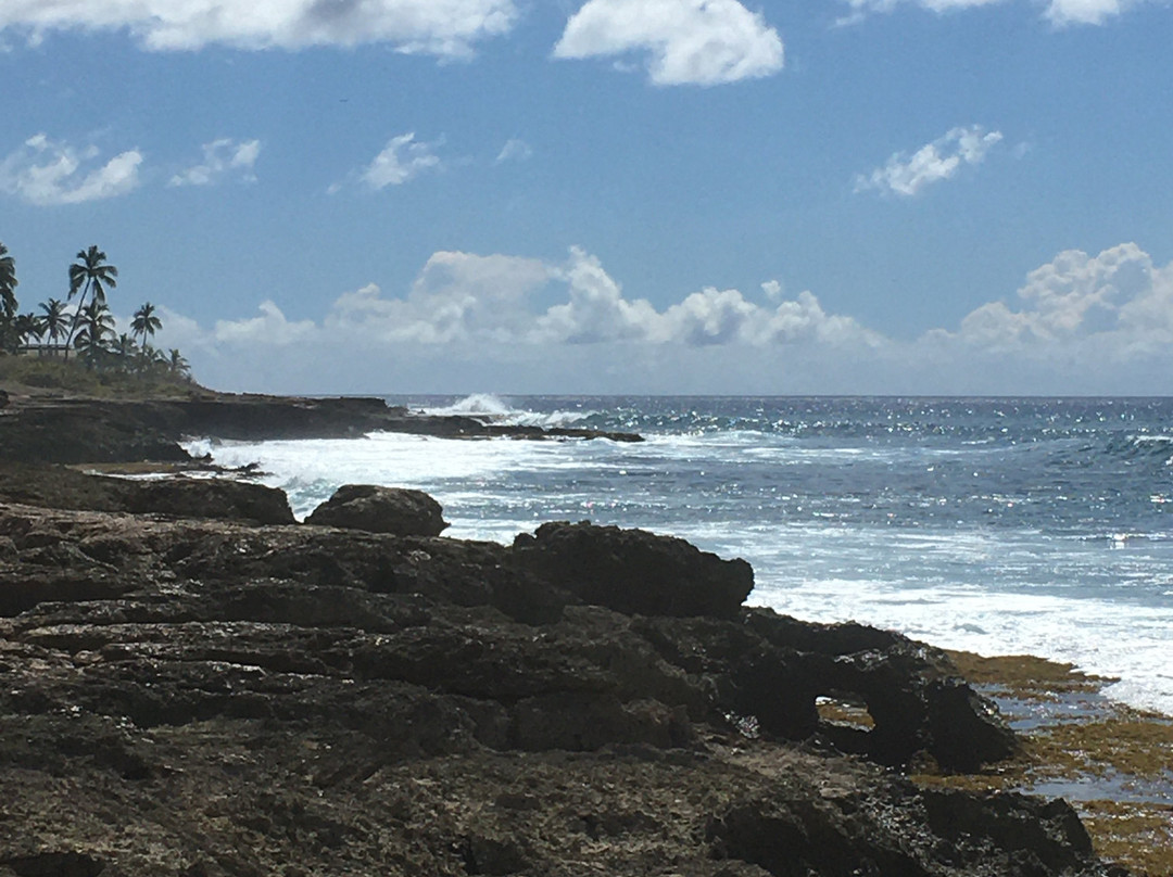 玛卡哈海滨公园-怀厄奈必去景点
