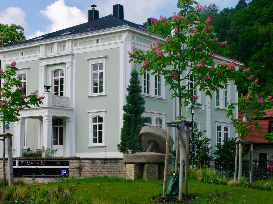 巴特迪克海姆旅游景点-Weingut Zumstein