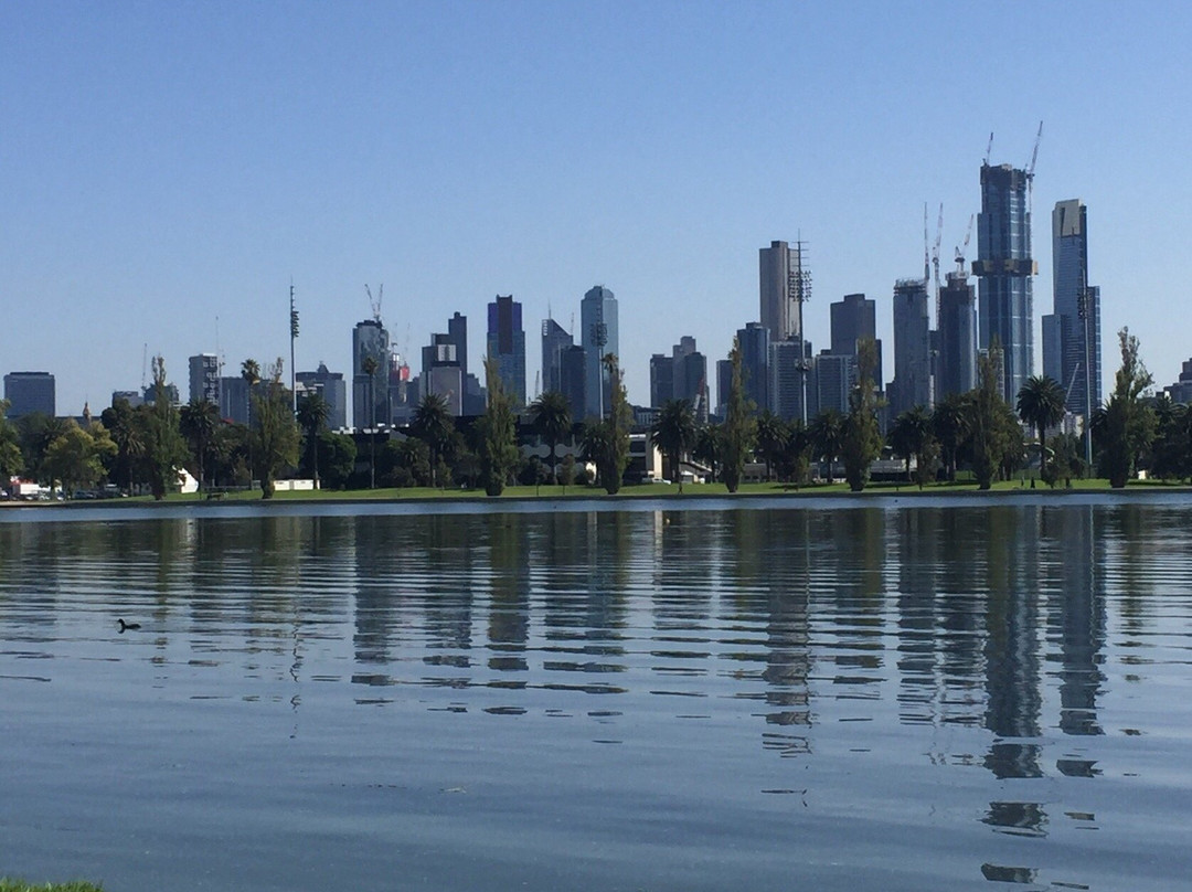 Albert Park Lake景点图片