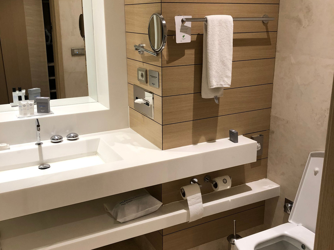 Wyndham Ankara主图