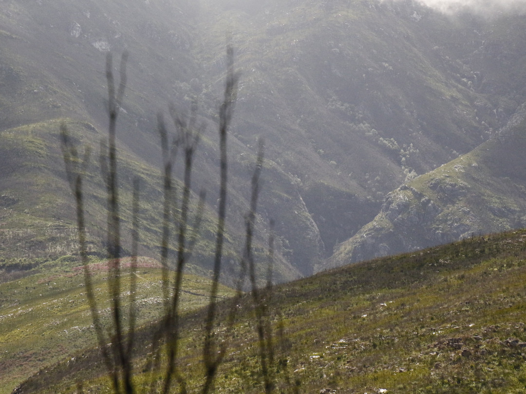 Golden Lion Adventures-Sedgefield必去景点