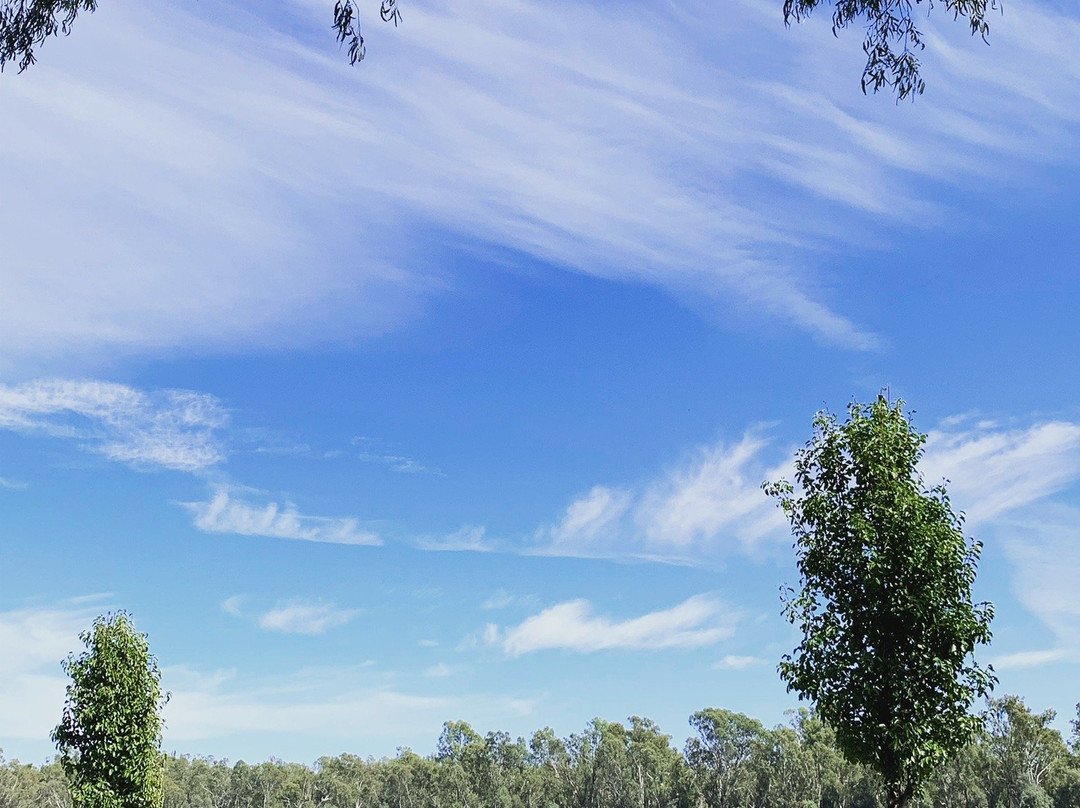 Victoria Park Lake-谢珀顿必去景点