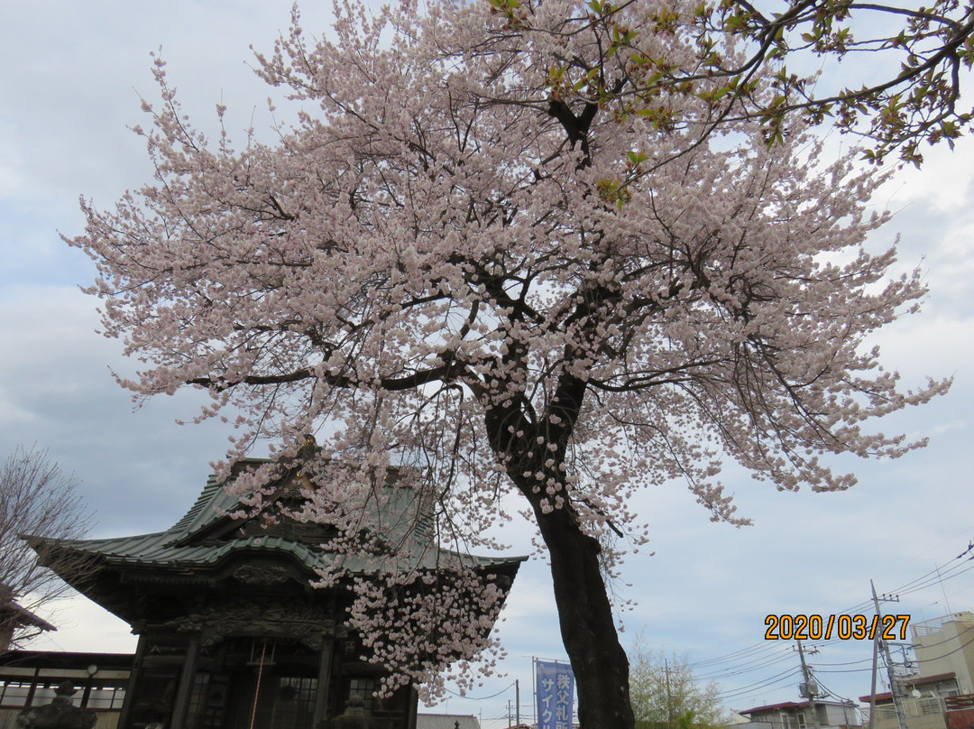Jigen-ji Temple-秩父市必去景点