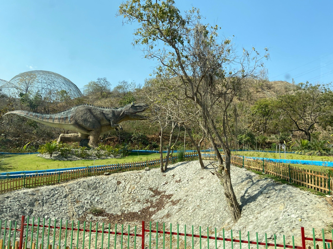 Valley of Flowers景点图片