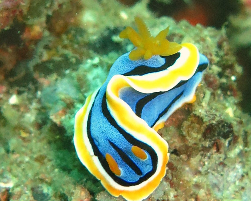 Adventure Divers Lombok-Kuta必去景点