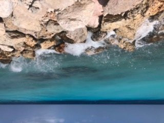 Sylvie Resort Curacao主图