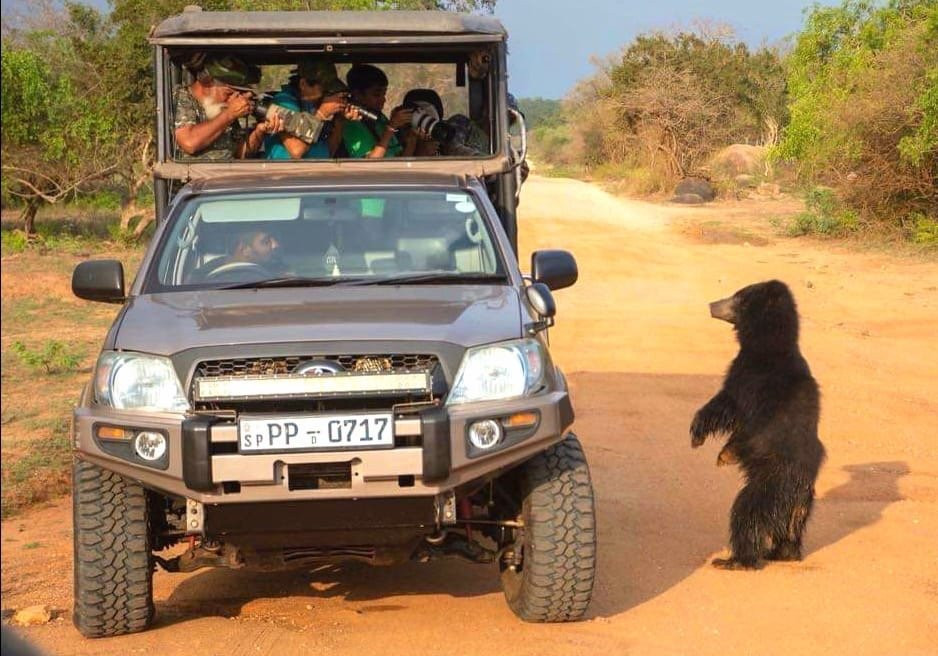 Ceylon Lanka Travels景点图片