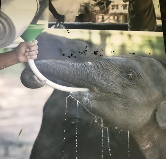 Kumar Tours-Aluthgama必去景点