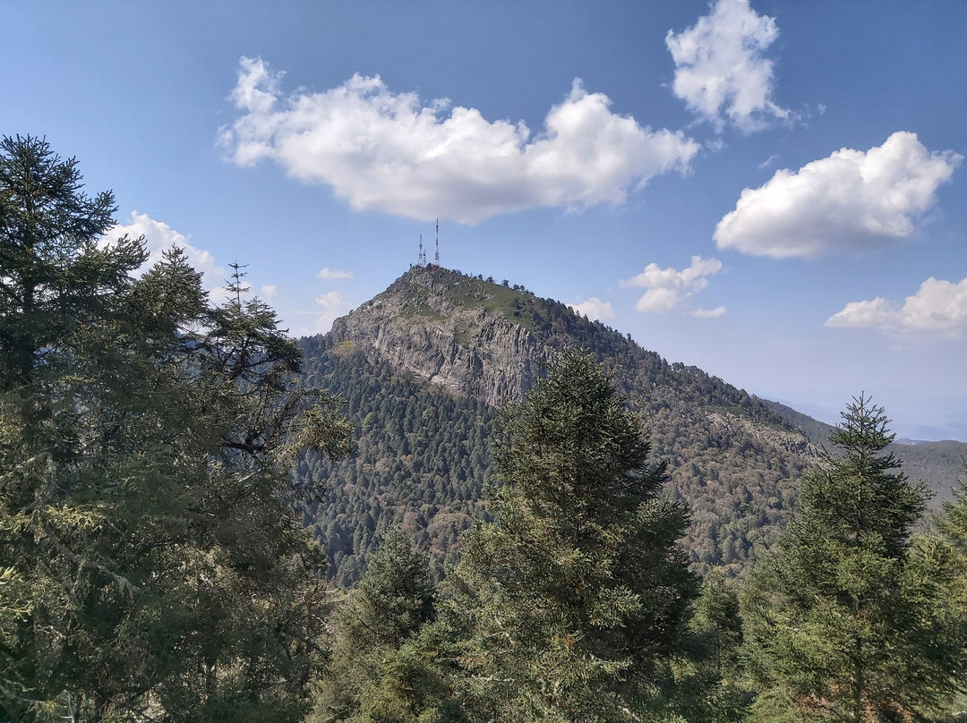 Jardón Outfitters-克雷塔罗必去景点