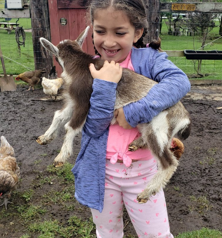 The Lili House Farm-火山必去景点