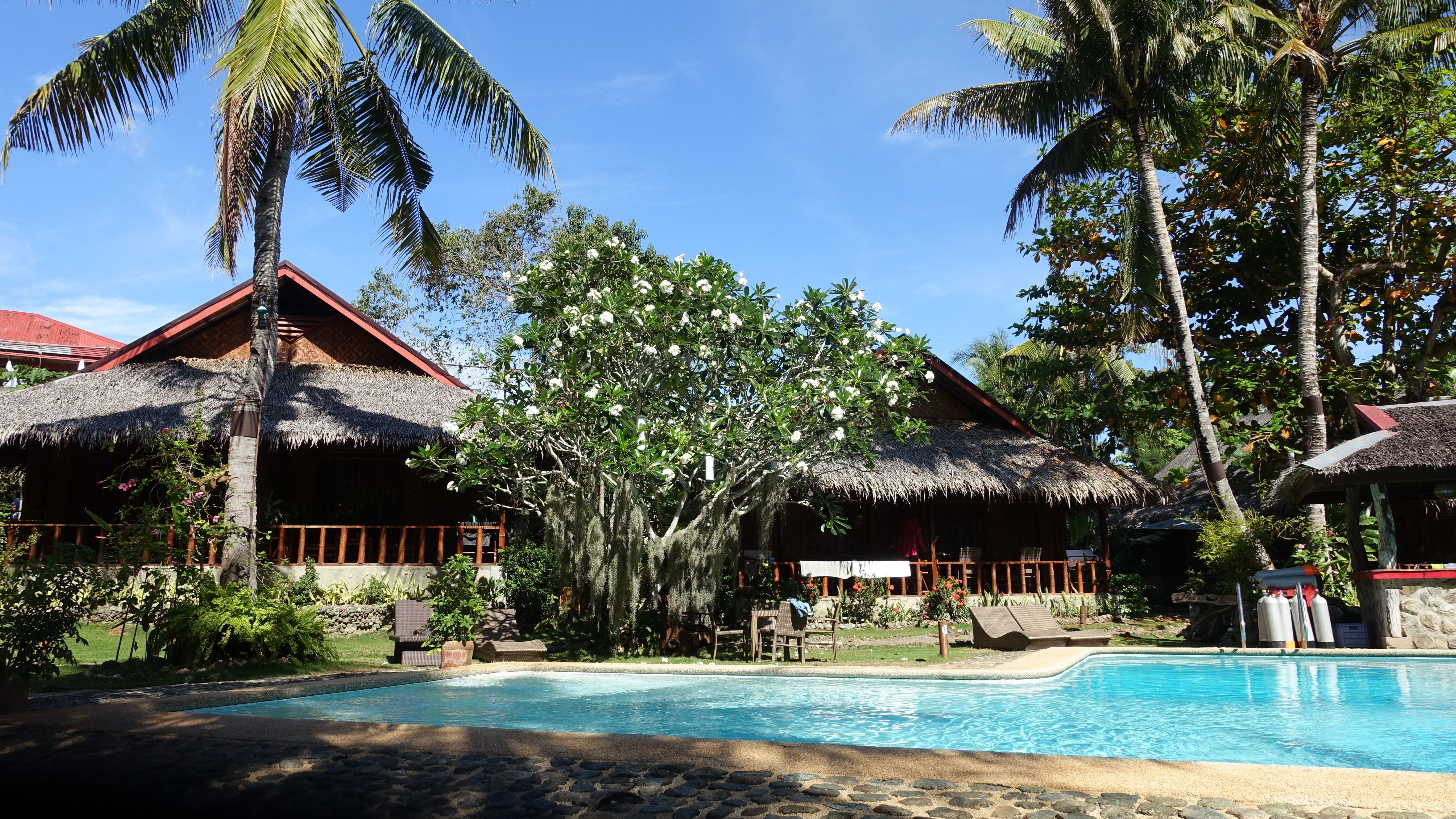 绿洲度假村酒店-泳池