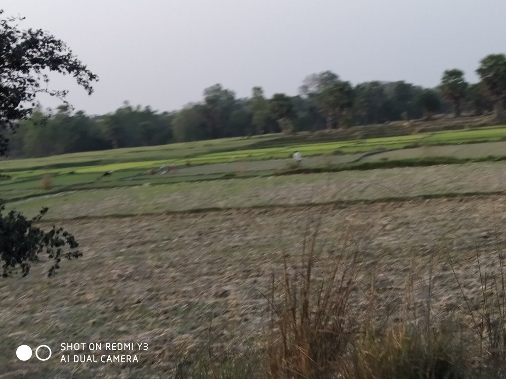 Tapan Dighi-Balurghat必去景点