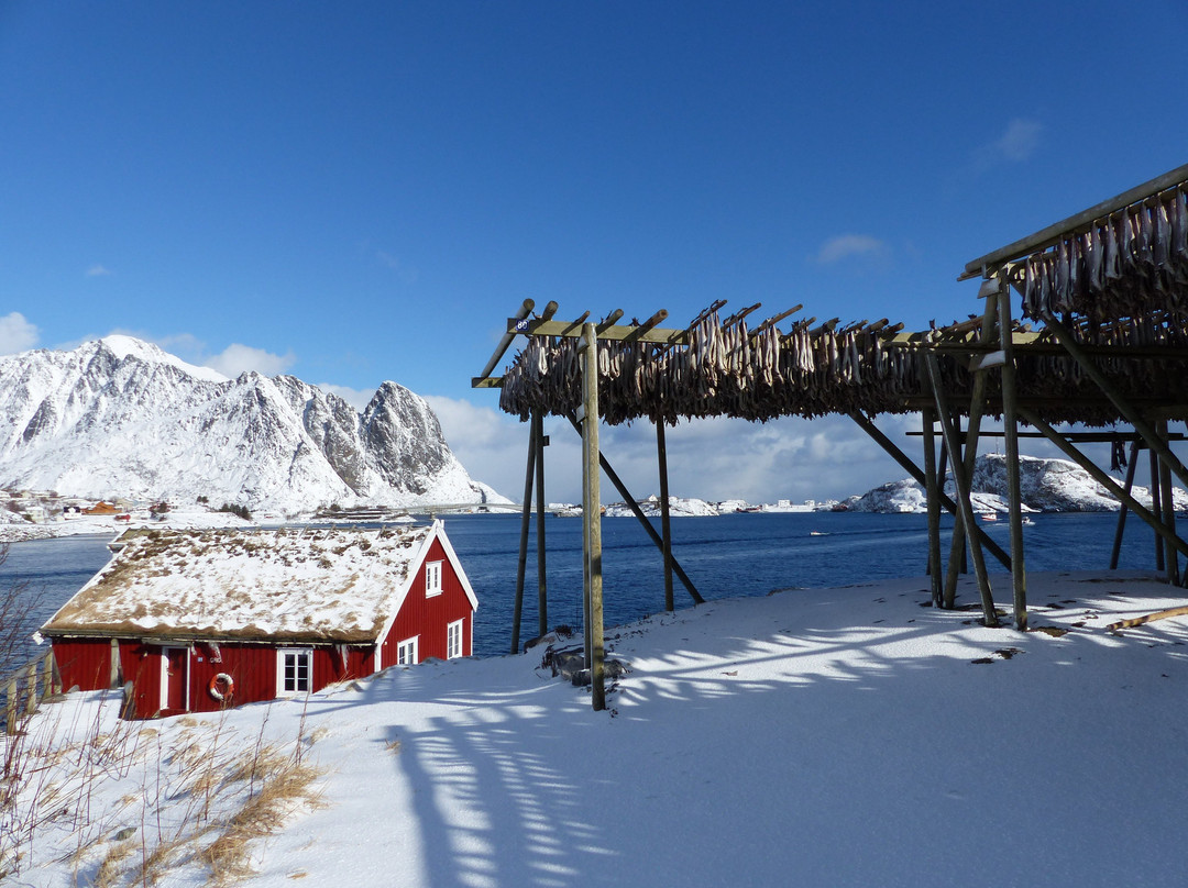 Reine Rorbuer景点图片