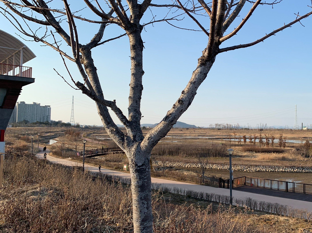 Gimpo Han River Wild Bird Ecology Park-金浦市必去景点