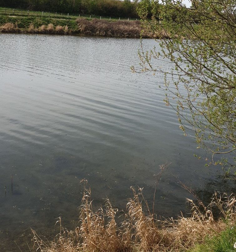 Thrybergh Country Park景点图片
