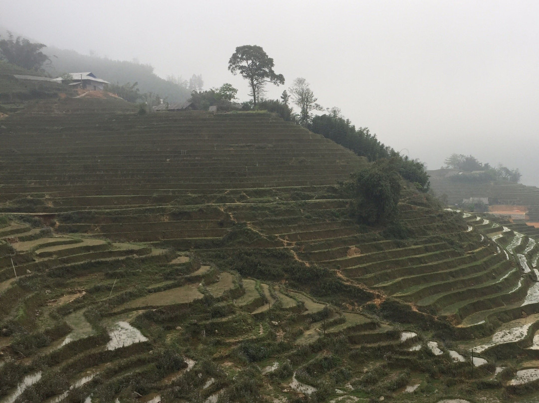 Sapa Hmong Family Trekking Adventures-沙巴必去景点
