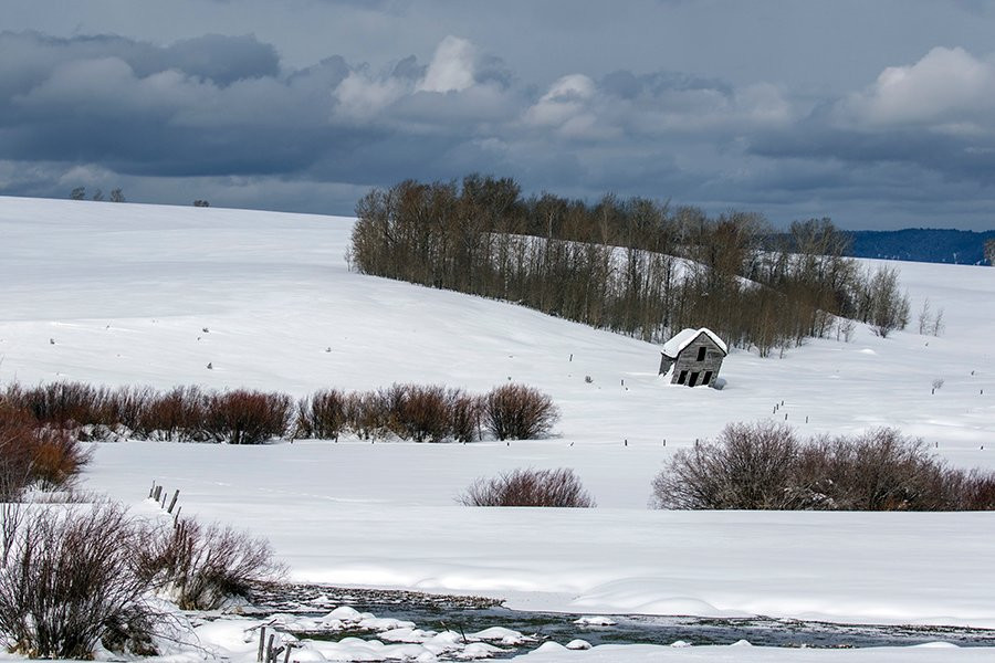 Swan Valley Tours-天鹅谷必去景点