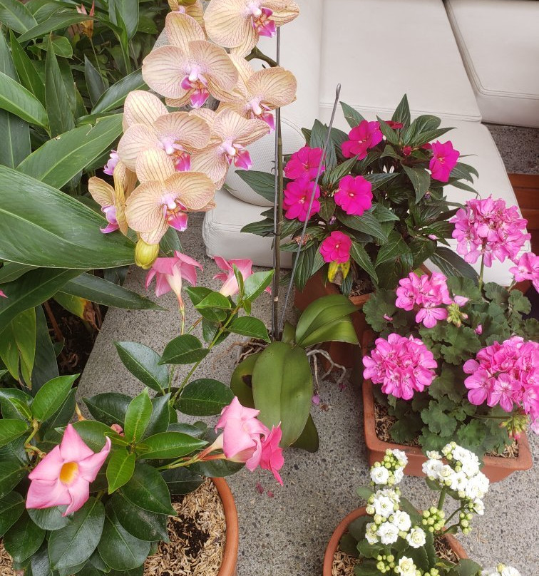 Visus 精品水疗酒店主图