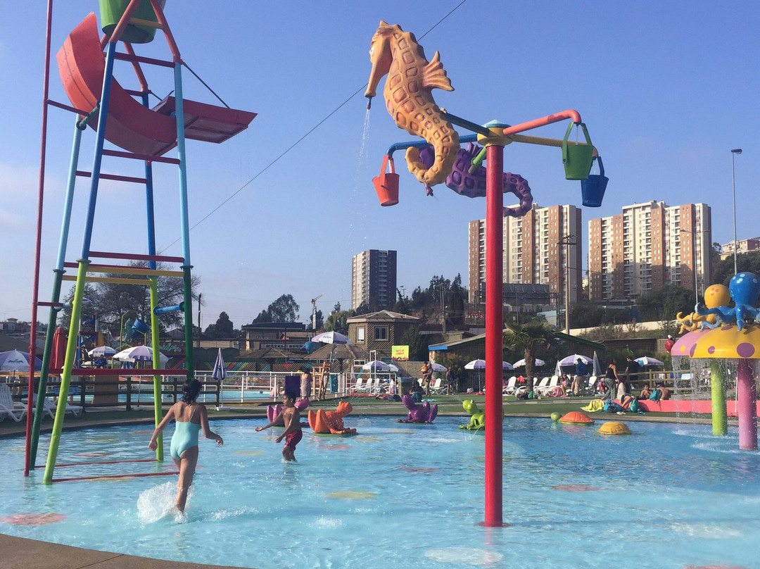 Parque Acuatico Aviva-比尼亚德尔马必去景点