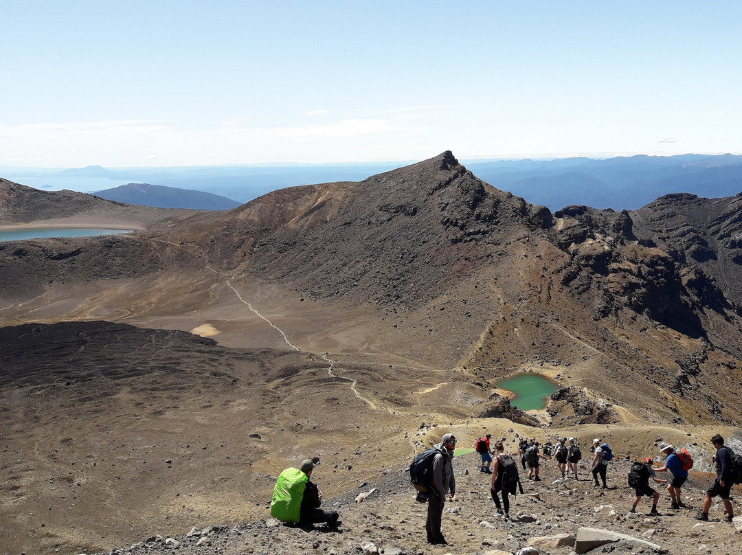 Tongariro Guided Walks景点图片