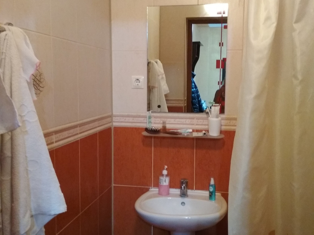 Gostinitsa Tsentral'naya Korpus 2主图