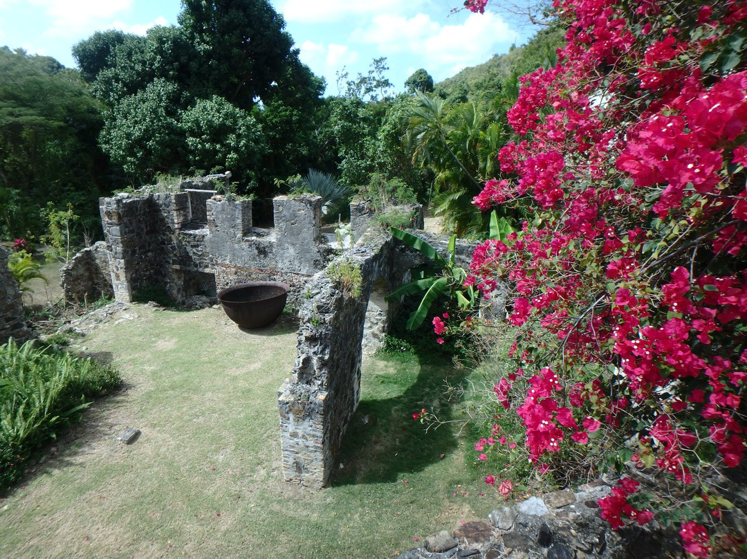Estate Mount Washington-Frederiksted必去景点