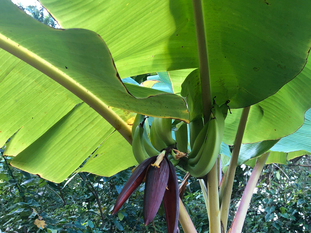 Melvin Hill旅游攻略图片