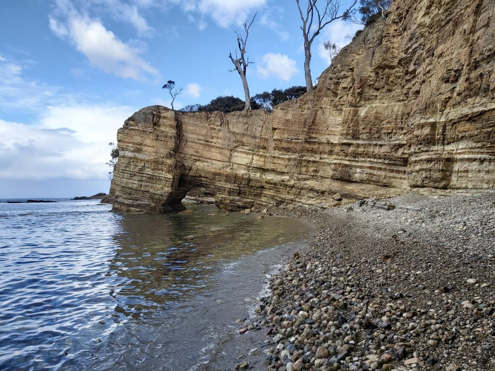 Fossil Cove景点图片