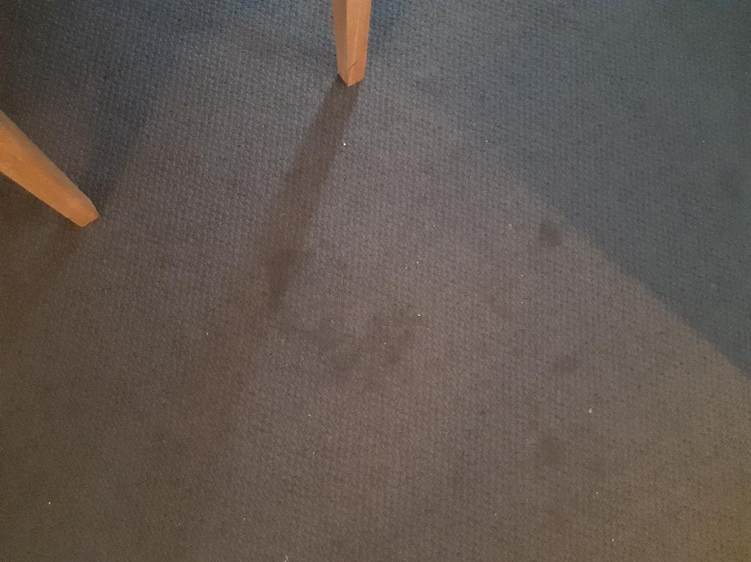 棕榈庭院汽车酒店主图