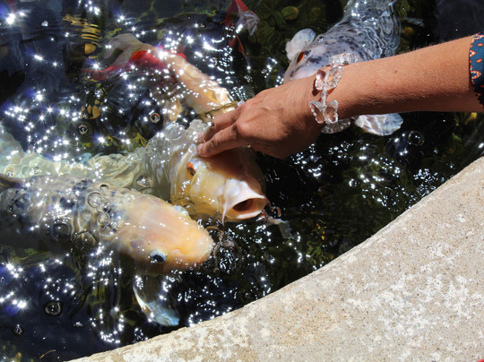 Gourmet Food & Wine Tours-圣海伦娜必去景点