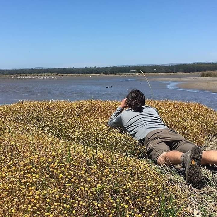 Ramal Talca - Constitucion - Train-Constitucion必去景点