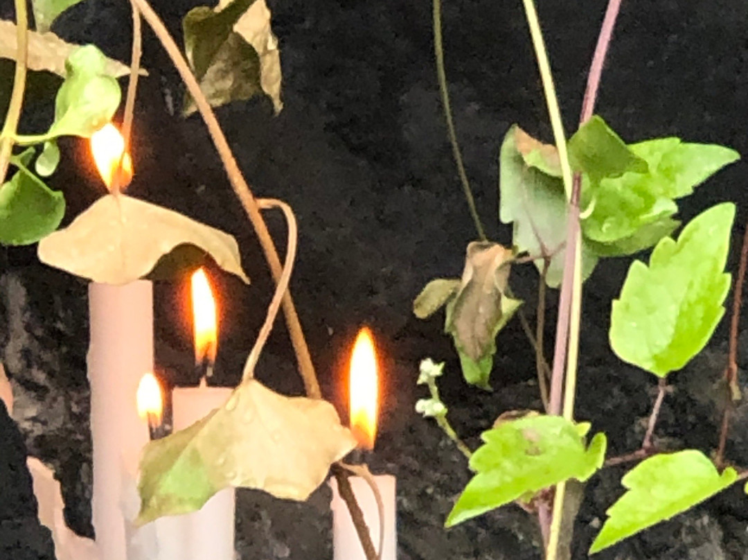 Gruta de Lourdes-巴拉斯港必去景点