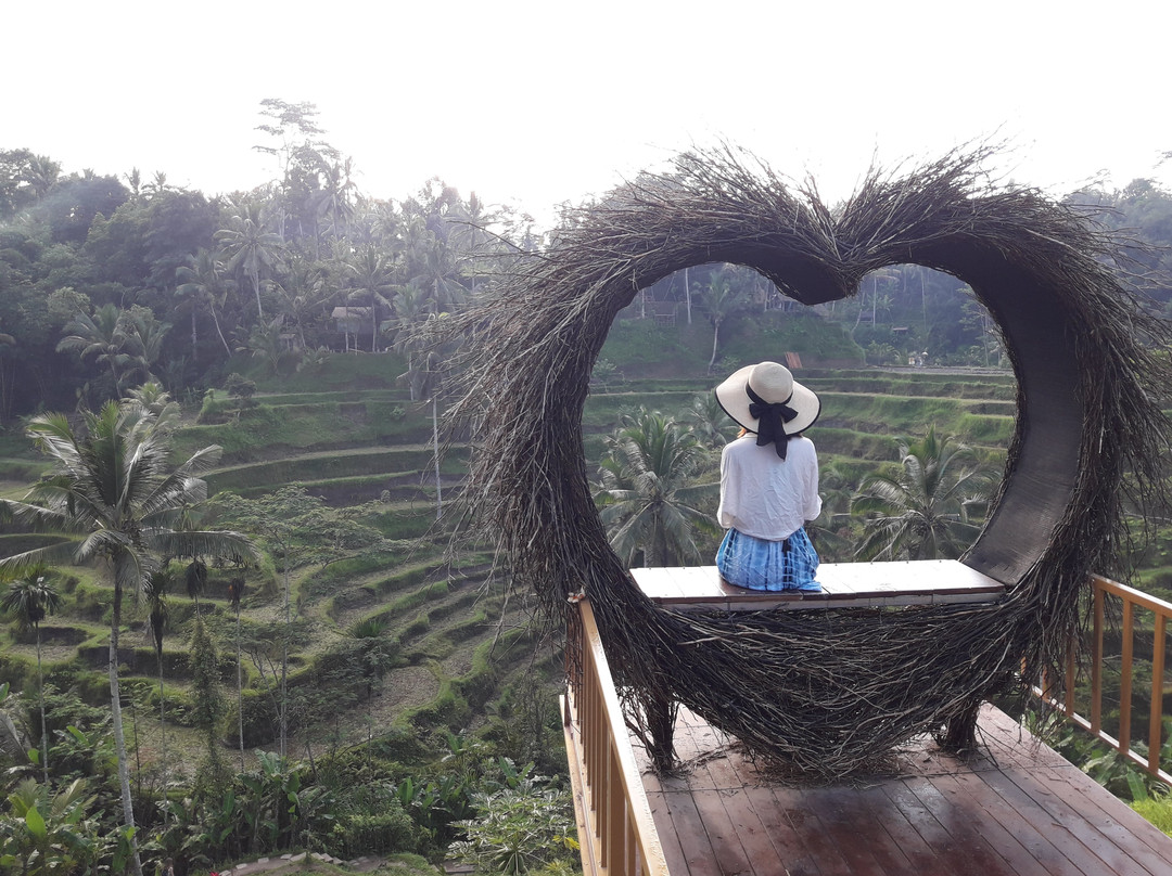 Bali Virgin Tours-库塔必去景点