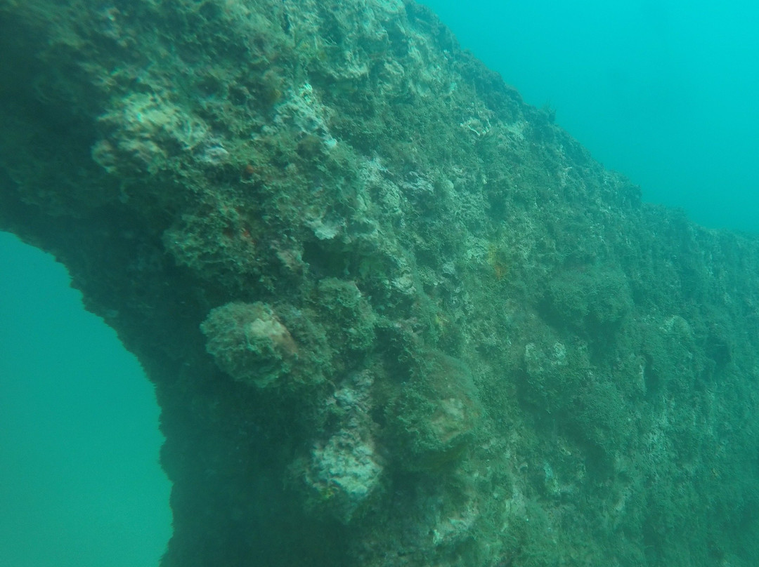 Scuba Evolution India-安朱纳必去景点