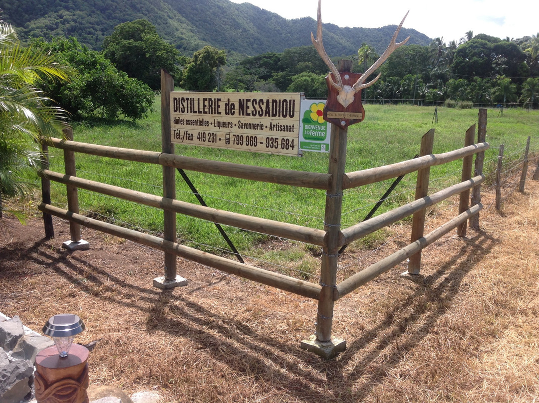 La Distillerie de Nessadiou-Bourail必去景点