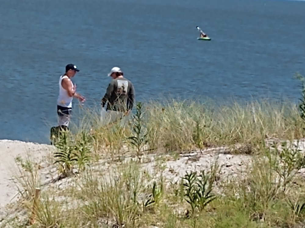 Bowers Beach-Frederica必去景点