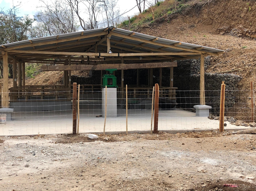 Eco Cultural Farm Tours El Jobo景点图片