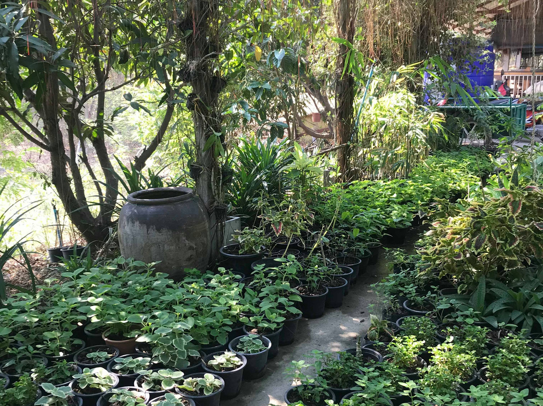 Kar Thoxng Theiyw Cheing Kaset Ban Krathong-挽西必去景点