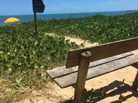 Pousada Vila Araticum Praia主图