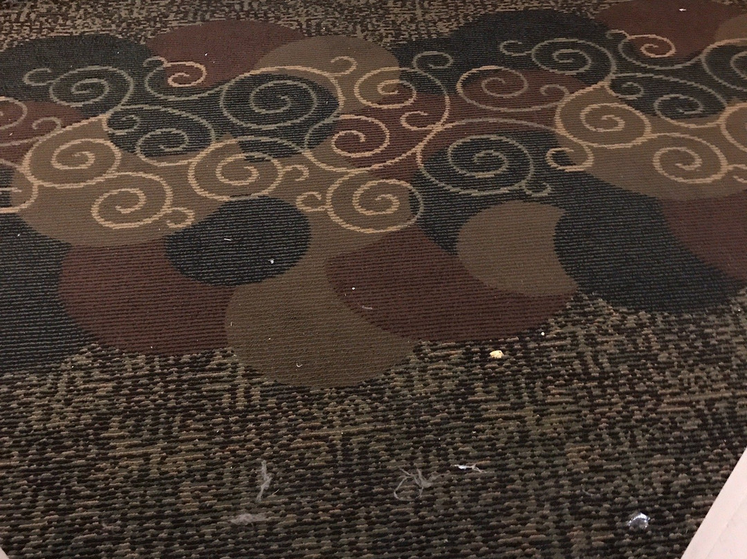 潘翰道尔卡匹陶贝斯特韦斯特旅馆&套房酒店主图