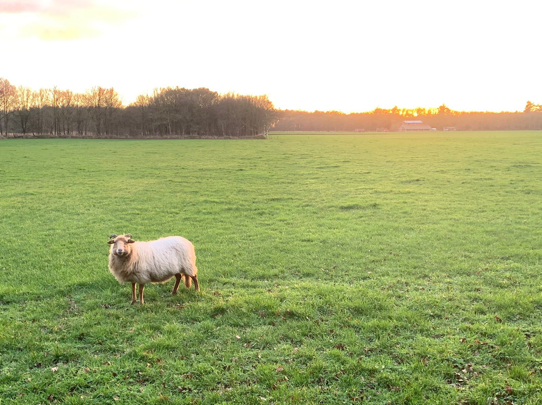 Hotel & Restaurant De Stripe主图