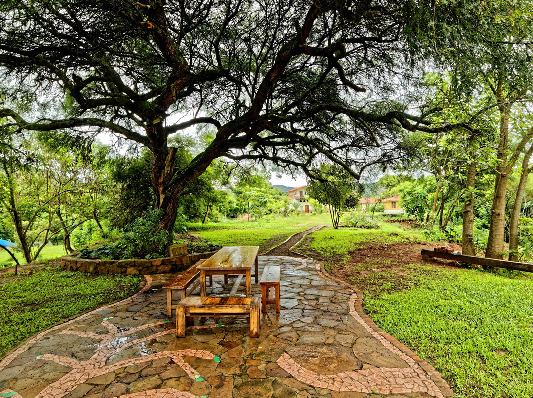 Yvy Casa Hotel主图