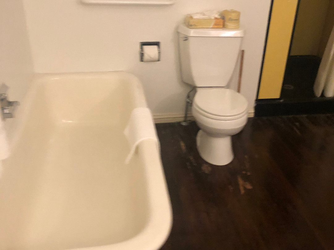 Stout's Island Lodge主图