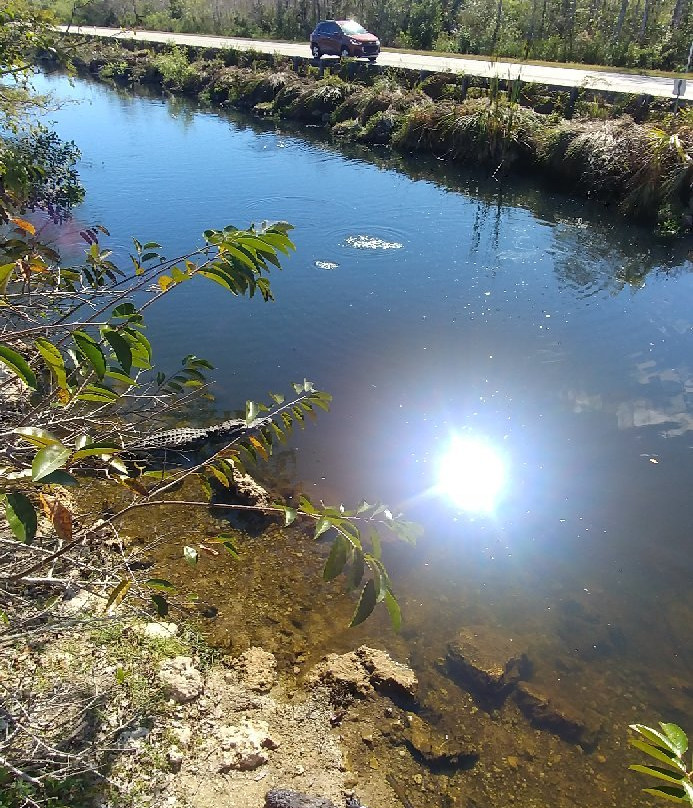 Big Cypress Oasis Visitor Center景点图片