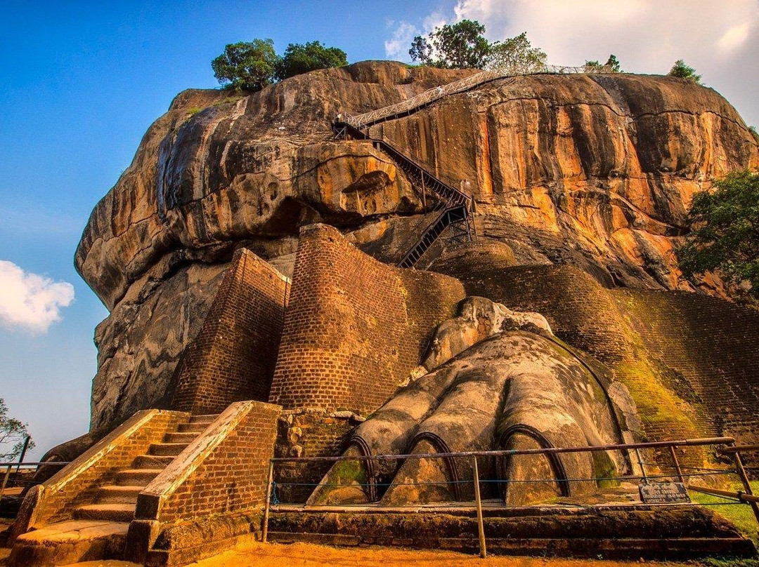 Sri Lanka Jeep Safari景点图片