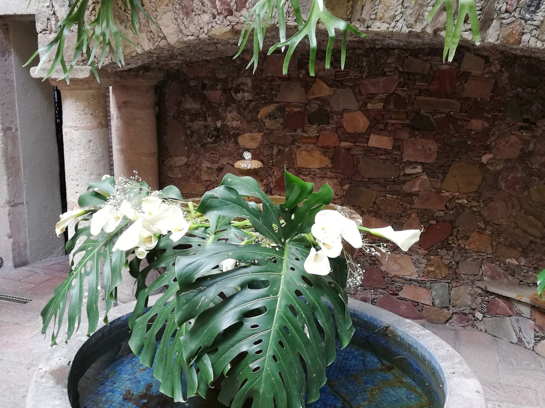 Hotel Los Arcos主图