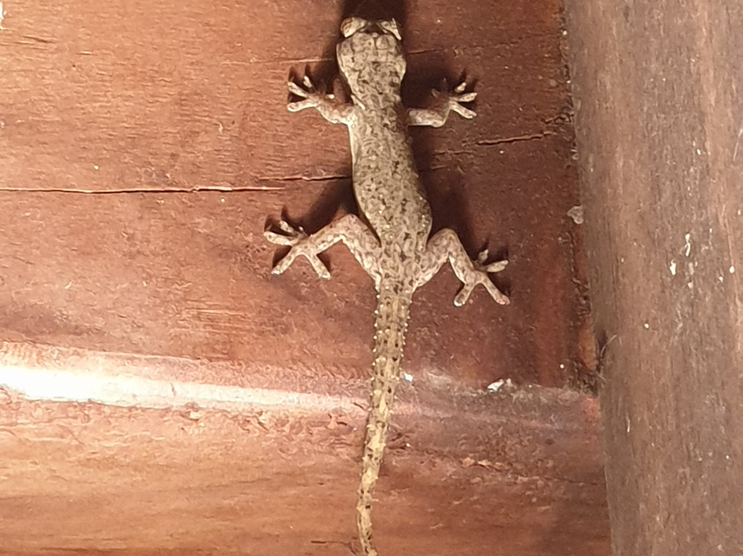 Coco Beach Resort主图