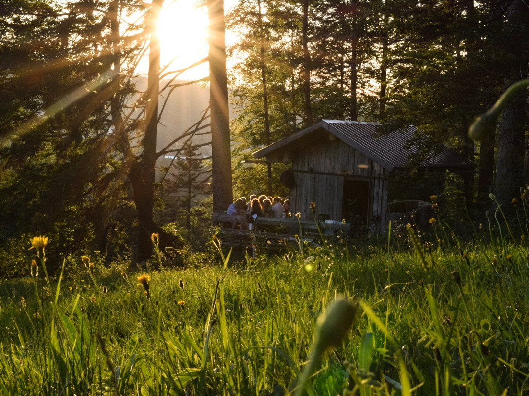 Hotel Das Bad Rain主图
