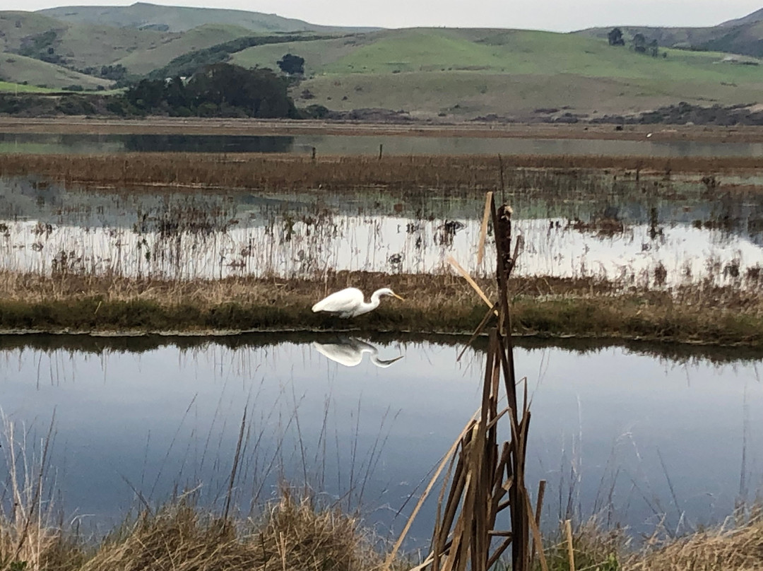 Motel Inverness主图