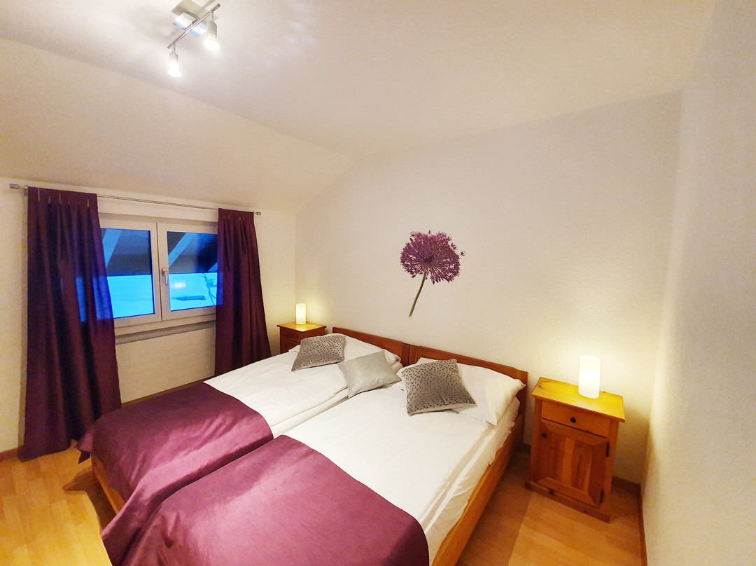 Haus Bergdohle主图